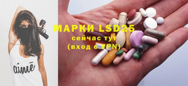 шишки Покачи