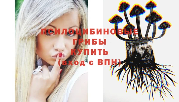 a pvp Покров