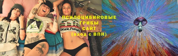 ПСИЛОЦИБИНОВЫЕ ГРИБЫ Балахна