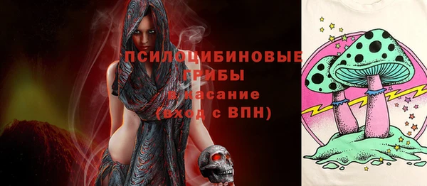 соль ск Балабаново