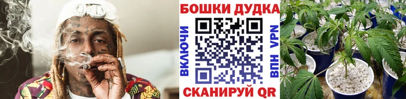 купить наркотики сайты  Котельниково  Канабис сатива 